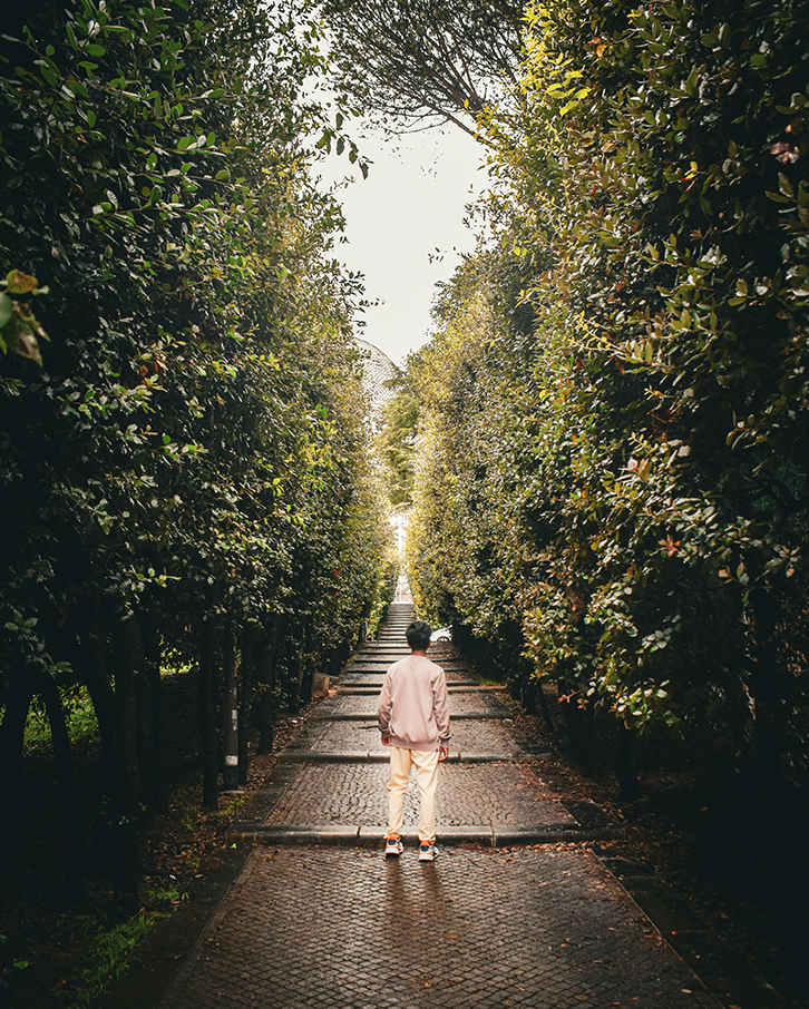 nature