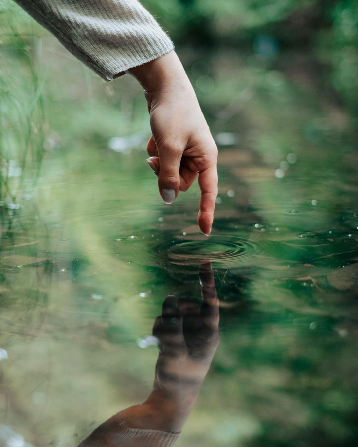 reflection